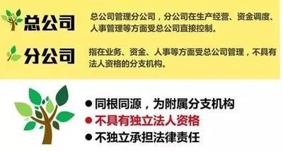 注冊子公司好還是分公司好，子公司和分公司有什么區(qū)別？